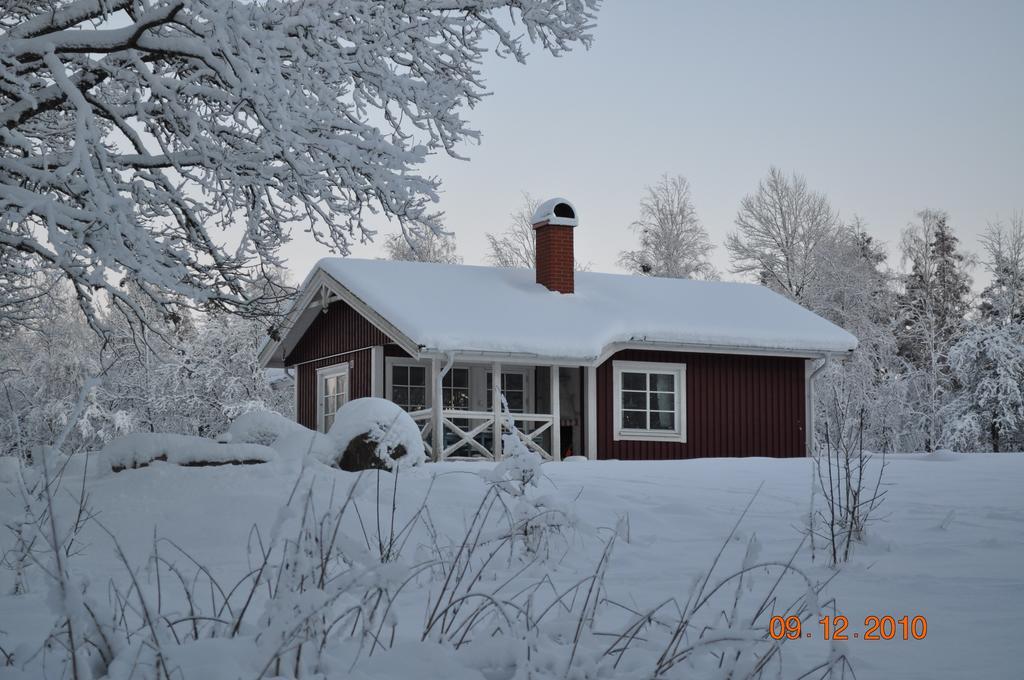 Wismens Natur & Fiske Krogsered Quarto foto